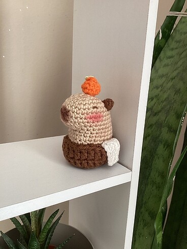 Diğer Capybara örgü