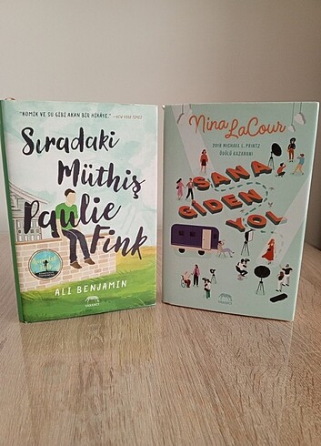 Sıradaki Müthiş Paulie Fink ve Sana Giden Yol