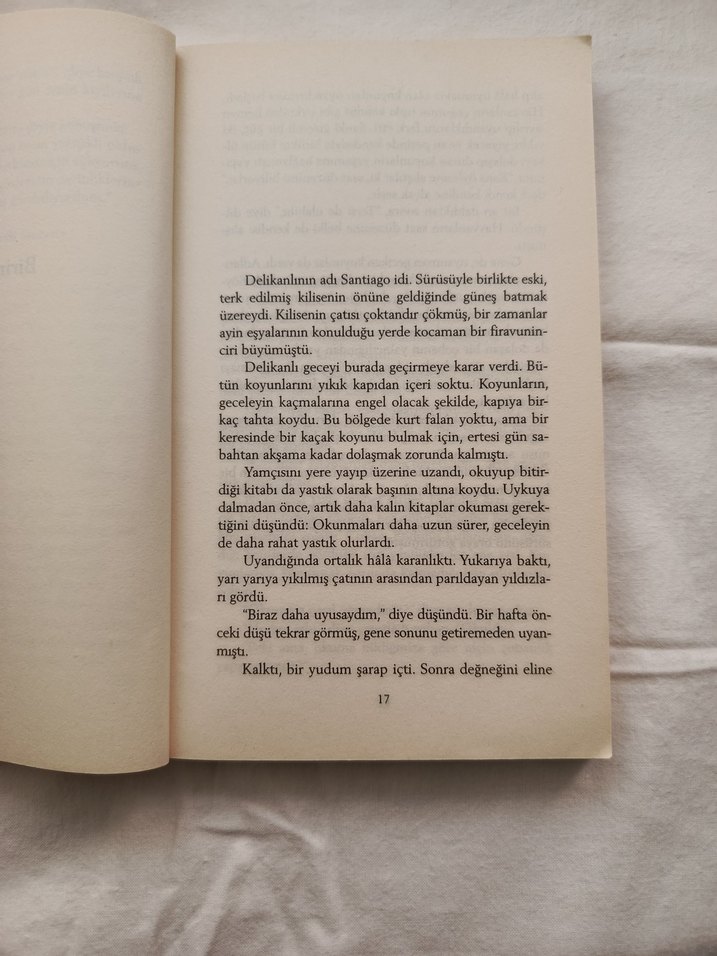 Paulo Coelho - Simyacı Roman - Görsel 2