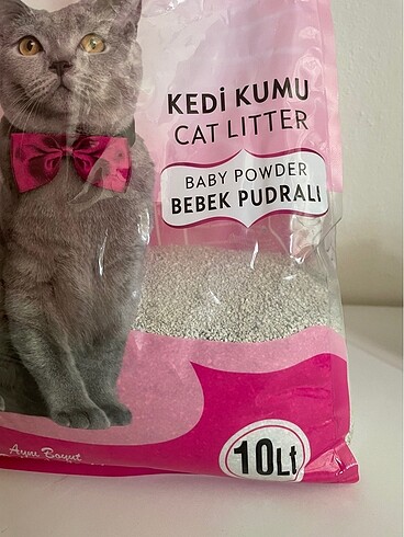  Kedi Kumu