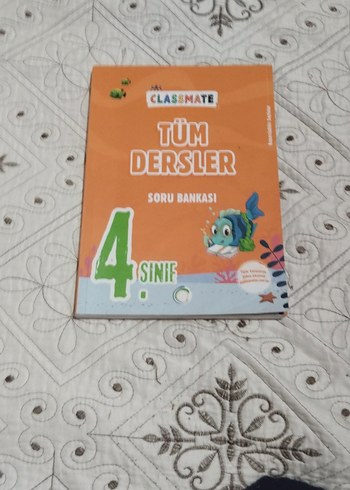 4. Sınıf Tüm dersler soru bankası