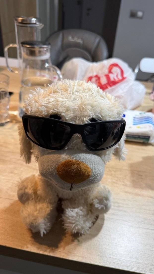 Exeline 156 Serisi Gri Polarize Erkek Güneş Gözlüğü - Görsel 2