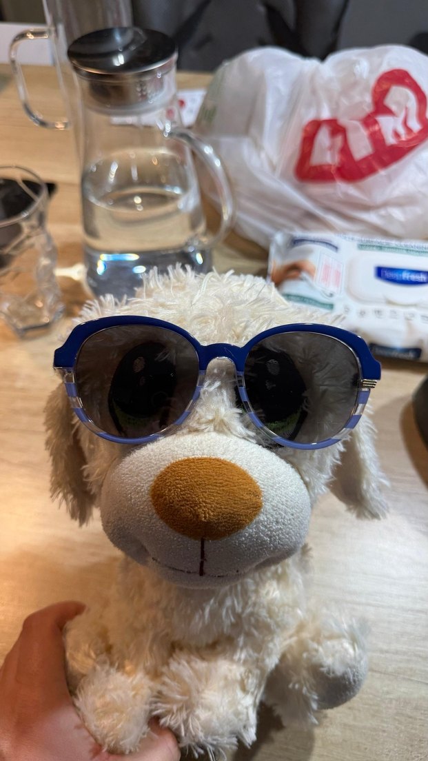 Dior Mavi Kürklü Kadın Güneş Gözlüğü - Görsel 4