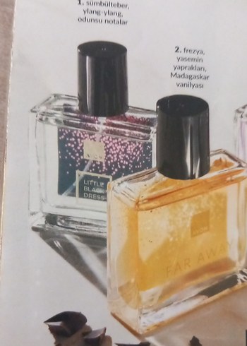Beden Kadın Parfüm Seti 30 ml Eau de Parfum tanesi