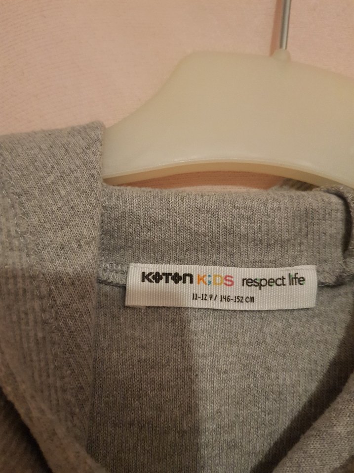 Gri Erkek Çocuk Kapüşonlu Sweatshirt - Görsel 4