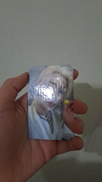  Beden Renk Felix pc