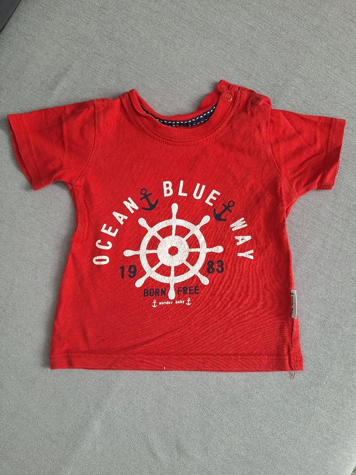 Renkli Çizgili Erkek Çocuk Kısa Kollu Tişört - Görsel 2