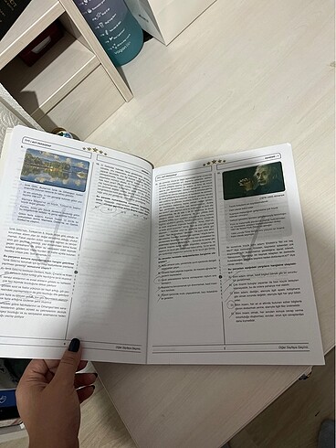  Beden Renk Tyt ayt bilgi sarmalı denemesi paragraf branş