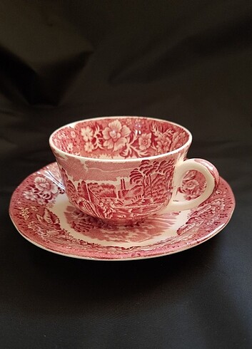 İngiliz Çay Fincanı (Palissy Pottery)