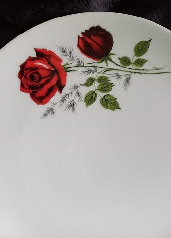 Beden Bavaria Germany Gül Desenli Porselen Pasta Tabağı