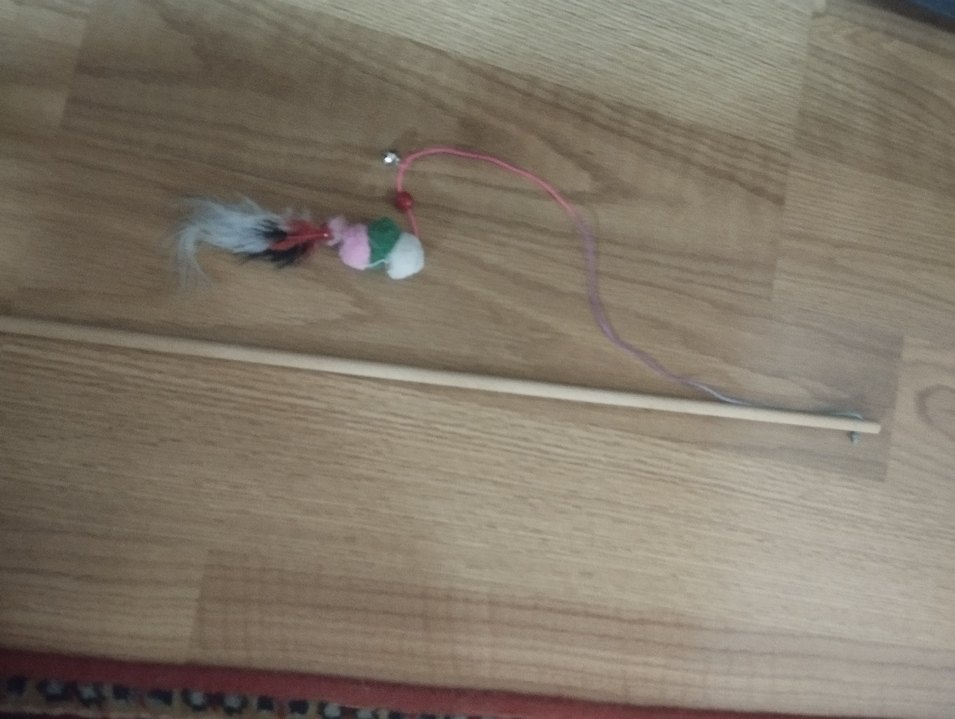 Renkli Kedi Tüylü Olta ve Tırtıklı Oyuncak kemik - Görsel 2