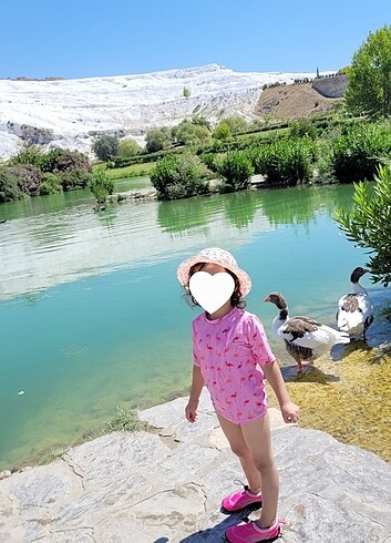 Kisa kollu ust mayo