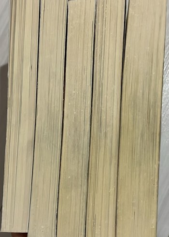 Beyza Alkoç Karantina Kitap Serisi - Görsel 8