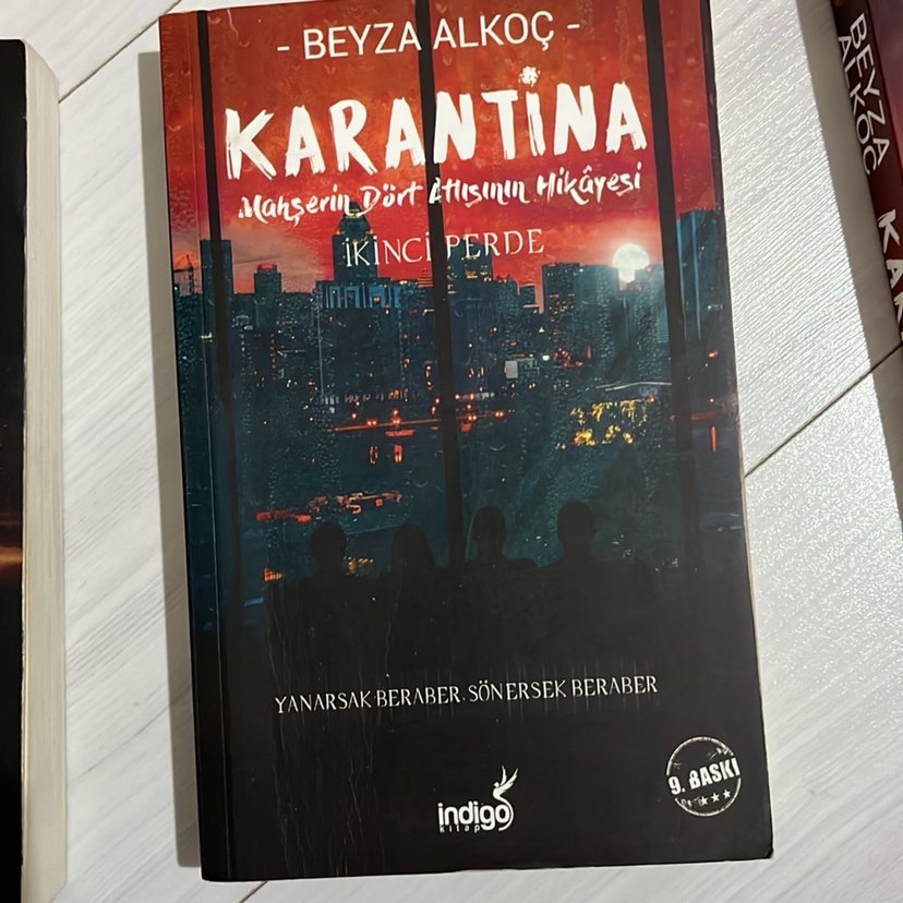 Beyza Alkoç Karantina Kitap Serisi - Görsel 4
