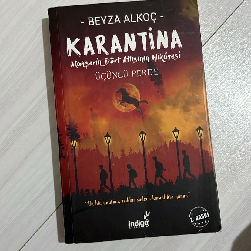 Beyza Alkoç Karantina Kitap Serisi - Görsel 5