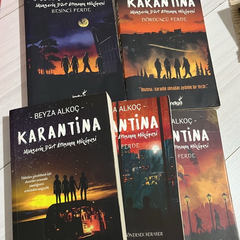 Beyza Alkoç Karantina Kitap Serisi - Görsel 2