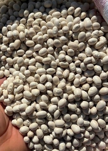 Beyaz Kuru Fasulye 1 kg - Görsel 2