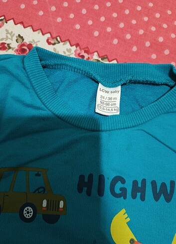 Sweatshirt 