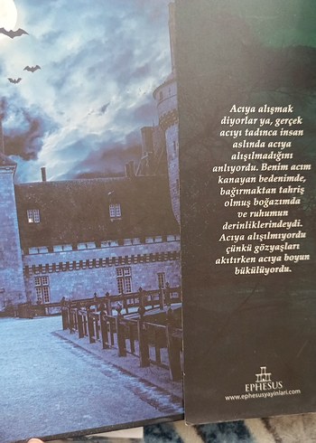 yaralasar maral atmaca - Görsel 4