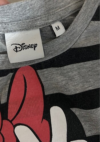 Walt Disney World Disney top