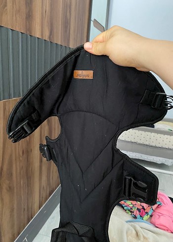 Diğer Ana kucağı