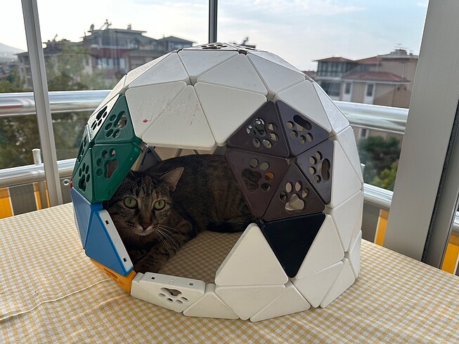 Kedi Evi