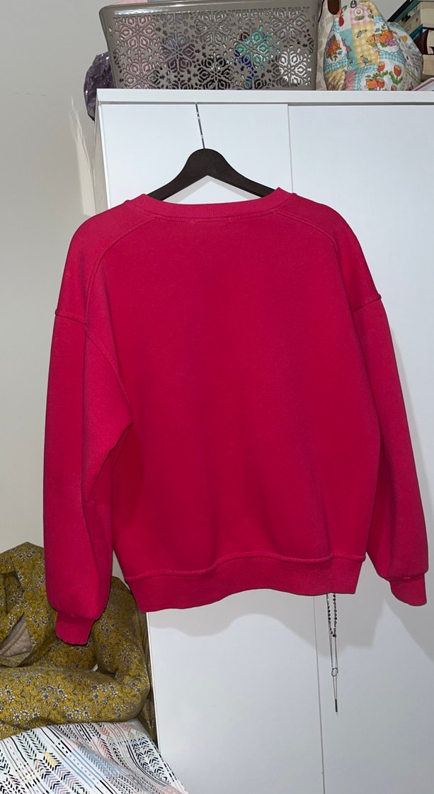 Pembe Kadın Bisiklet Yaka Sweatshirt - Görsel 2