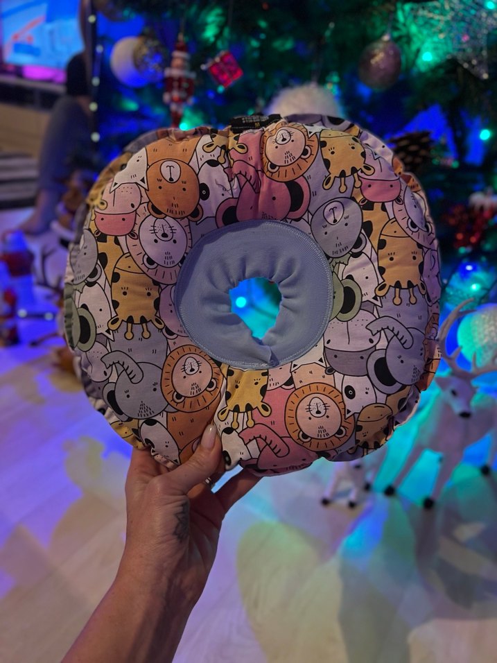 Kedi küçük ırk köpek boyunluk elizabeth - Görsel 2