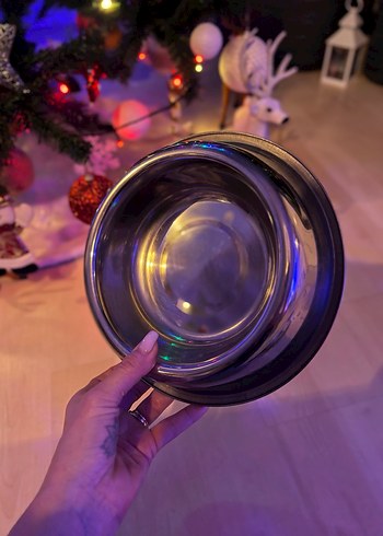 Paslanmaz Çelik 22 cm Kedi&Köpek Mama Kabı - Görsel 2