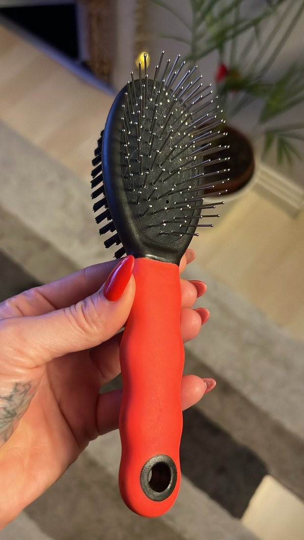 Kırmızı Çift Taraflı Kedi&Köpek Fırçası - Görsel 3