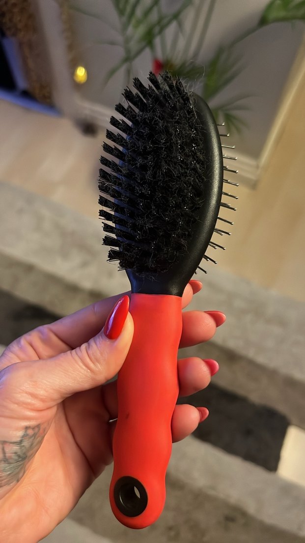 Kırmızı Çift Taraflı Kedi&Köpek Fırçası - Görsel 4