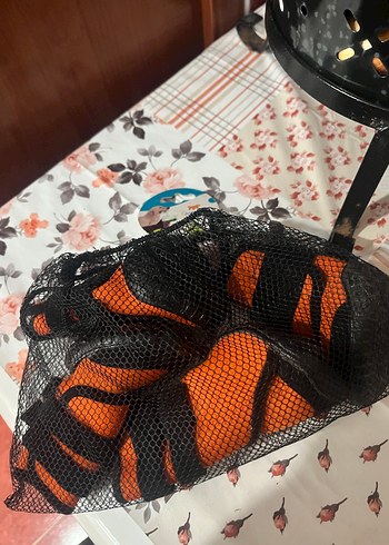  Beden köpek ayakkabısı