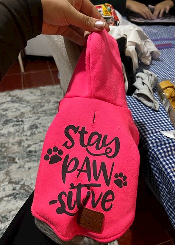 Pembe Köpek kıyafeti - Görsel 2