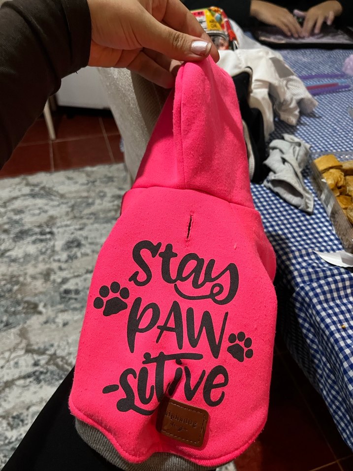 Pembe Köpek kıyafeti - Görsel 2