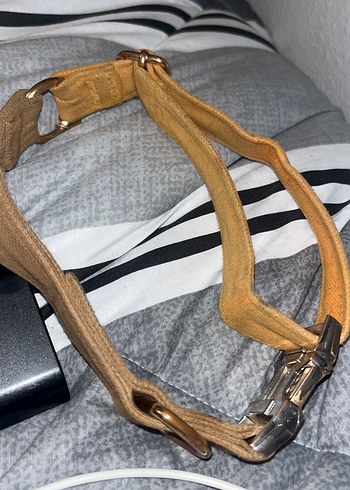 gopawgo Köpek taşması - Görsel 3