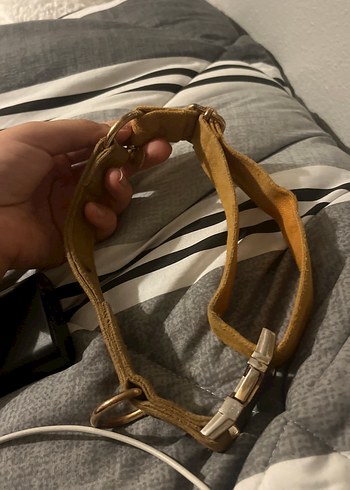 gopawgo Köpek taşması - Görsel 2