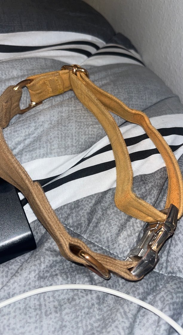 gopawgo Köpek taşması - Görsel 3