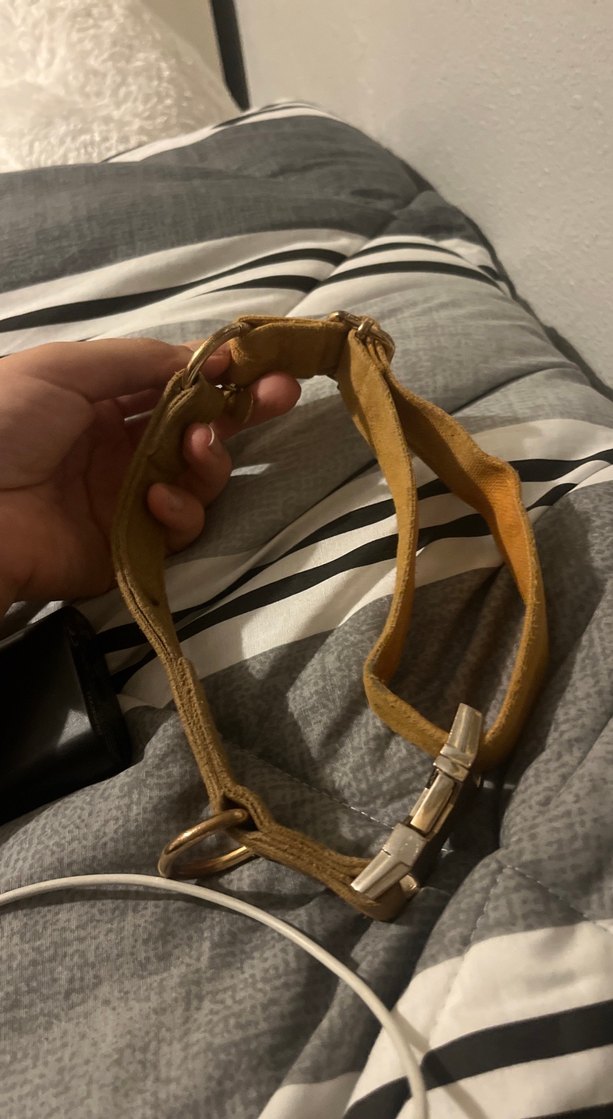 gopawgo Köpek taşması - Görsel 2