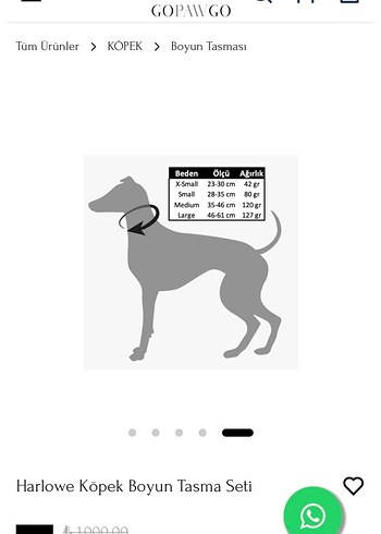 GOPAWGO Köpek Boyun Tasması Seti - Görsel 3