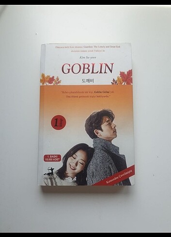 Goblin Romanı Kim Su Yeon