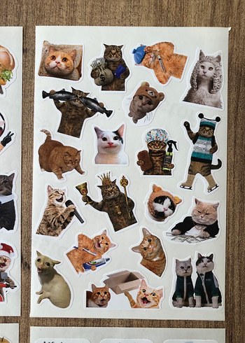 Kedi Temalı Renkli Çıkartma Seti - Görsel 5