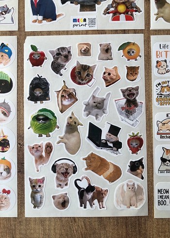 Kedi Temalı Renkli Çıkartma Seti - Görsel 8