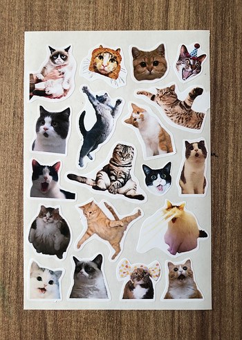 Kedi Temalı Renkli Çıkartma Seti - Görsel 2