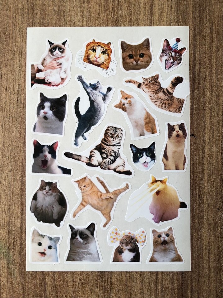 Kedi Temalı Renkli Çıkartma Seti - Görsel 2