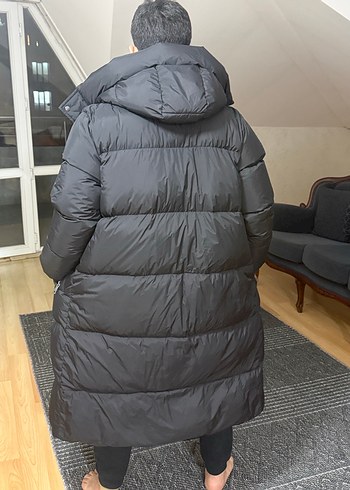 Siyah Uzun erkek kaban - Görsel 6