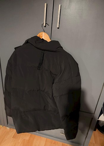 Erkek Puma m - Görsel 3