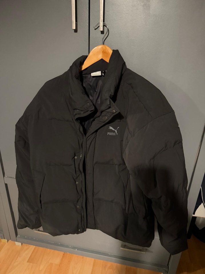 Erkek Puma m - Görsel 5