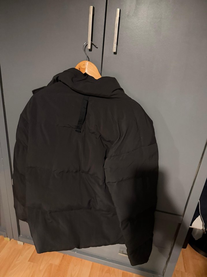 Erkek Puma m - Görsel 3