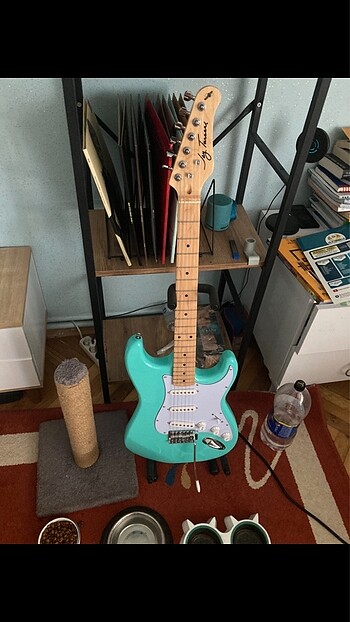 Elektro Gitar