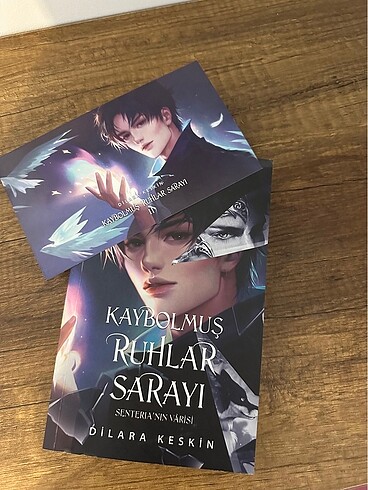 Kaybolmuş ruhlar sarayı2-dilara keskin